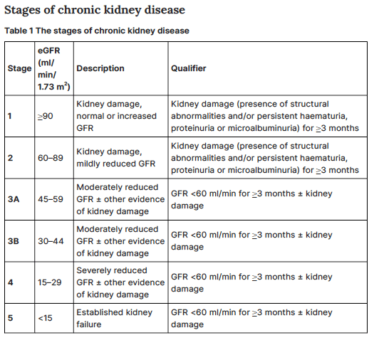 Lesión renal aguda: Prevención, detección y gestión (NICE 2023)