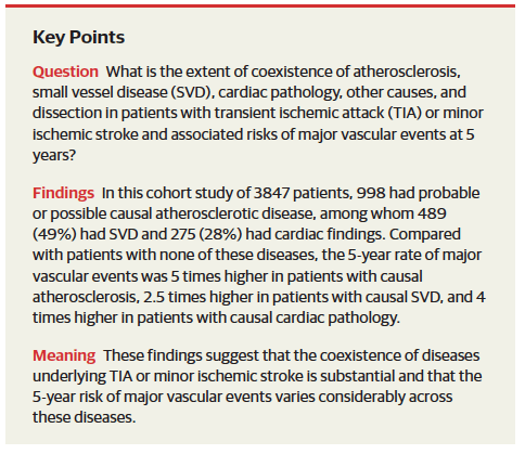 Causas subyacentes de AIT y accidente cerebrovascular isquémico menor y riesgo de eventos vasculares mayores