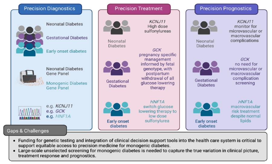 El uso de diagnósticos de precisión para la diabetes monogénica