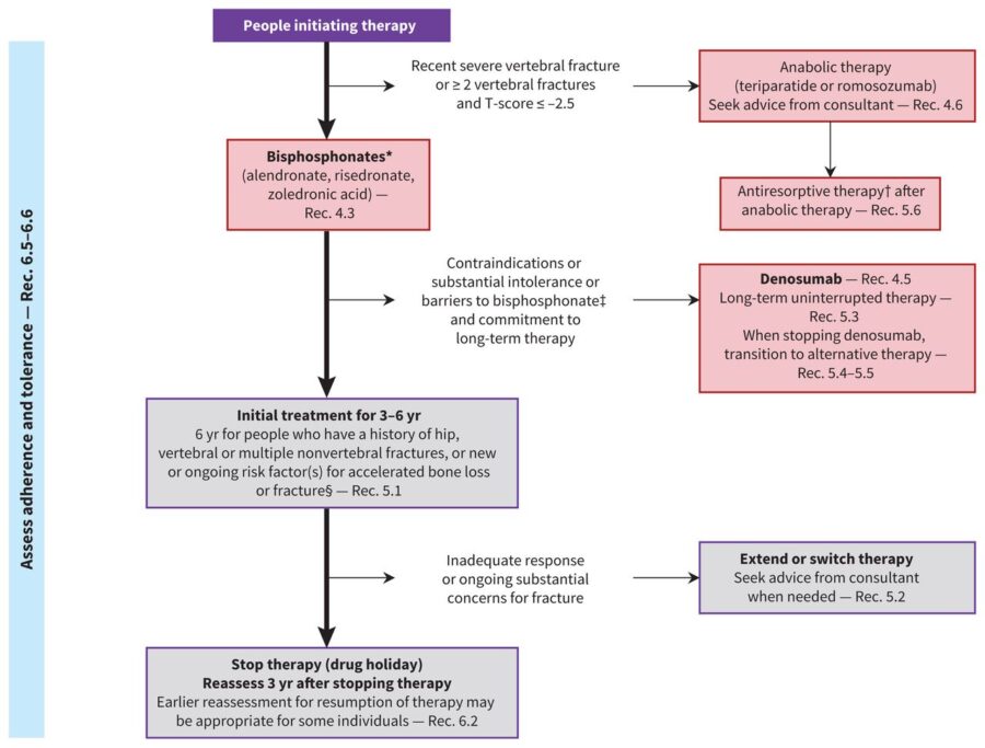 Guía de práctica clínica para el tratamiento de la osteoporosis y la prevención de fracturas en Canadá: Actualización 2023