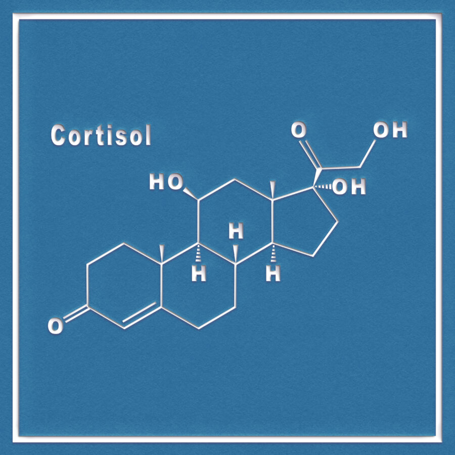 Cambio entre prednisolona oral e hidrocortisona intravenosa