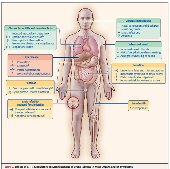 fibrosis quística