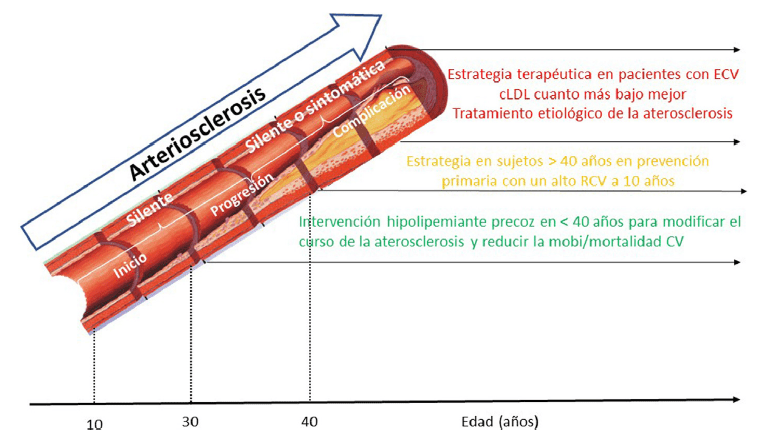 Cuándo tratar la hipercolesterolemia