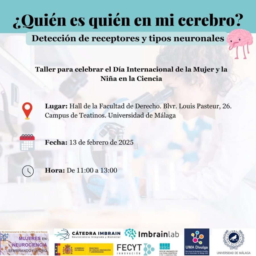 Taller interactivo ¿Quién es quién en mi cerebro? Detección de receptores y tipos neuronales | 13 de febrero