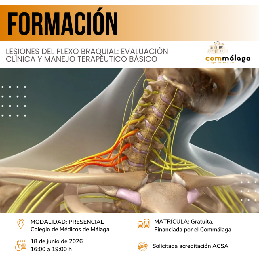 Lesiones del plexo braquial: evaluación clínica y manejo terapéutico básico | 18 de junio