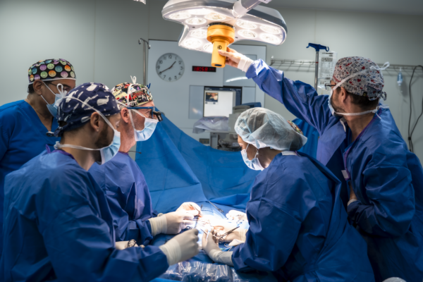 El Colegio de Médicos de Málaga culmina con éxito el XXIII Curso Internacional de Hipospadias